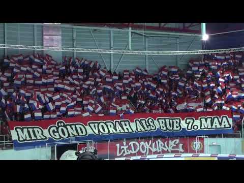 Playout Final Spiel 2 SC Rapperswil Jona  vs. HC Davos 28.03.2019