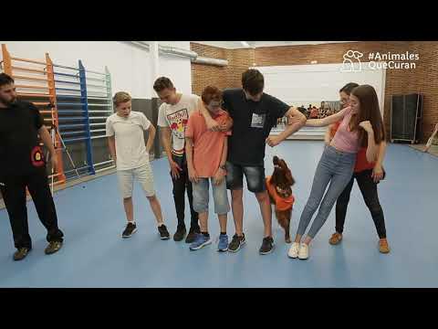 Fundación Affinity | Respétame: Un programa en contra del bullying