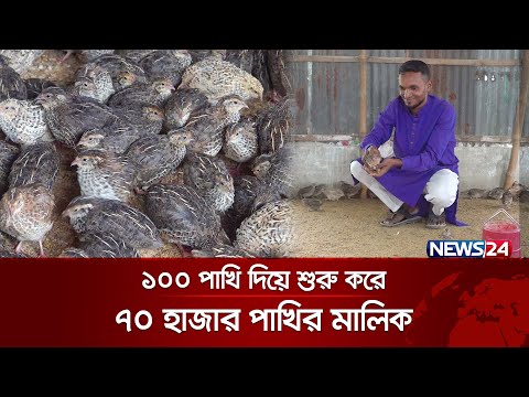 সরকারি চাকরি ছেড়ে ৪ কোটি টাকার কোয়েল পাখি, ডিম ও বাচ্চার খামার | News24 Special