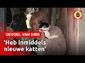 Vermiste poes Juliette na drie jaar terug bij baasje | Omroep Brabant