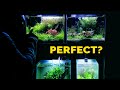 Best Tank Size For Planted Aquarium