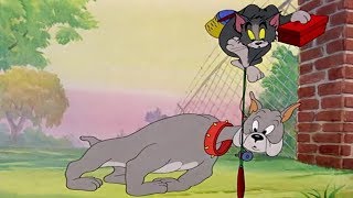 Том и джерри про рыбалку