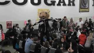 preview picture of video 'TCHS Seniors Harlem Shake - Cougar Nation Style!'