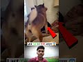 Dog Vs Girl Xxx Vido Dog Girl Xxx