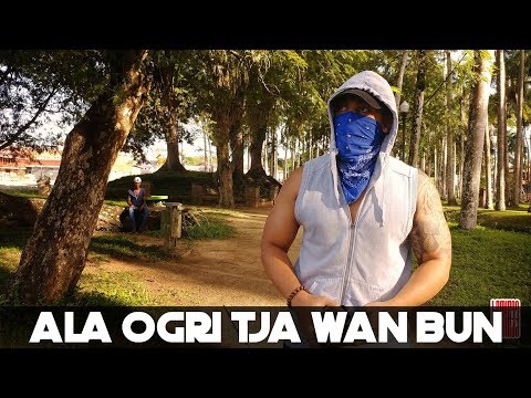 FEWINES - Ala Ogri Tja Wan Bun