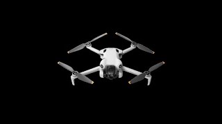 DUCKS DOGS & DRONES