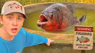 I Found an Abandoned Pond Full of Piranhas!
