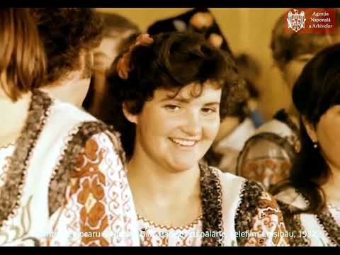 Valentina Cojocaru & Nicolae Glib, BĂDIȘOR CU PĂLĂRIE, 1982.