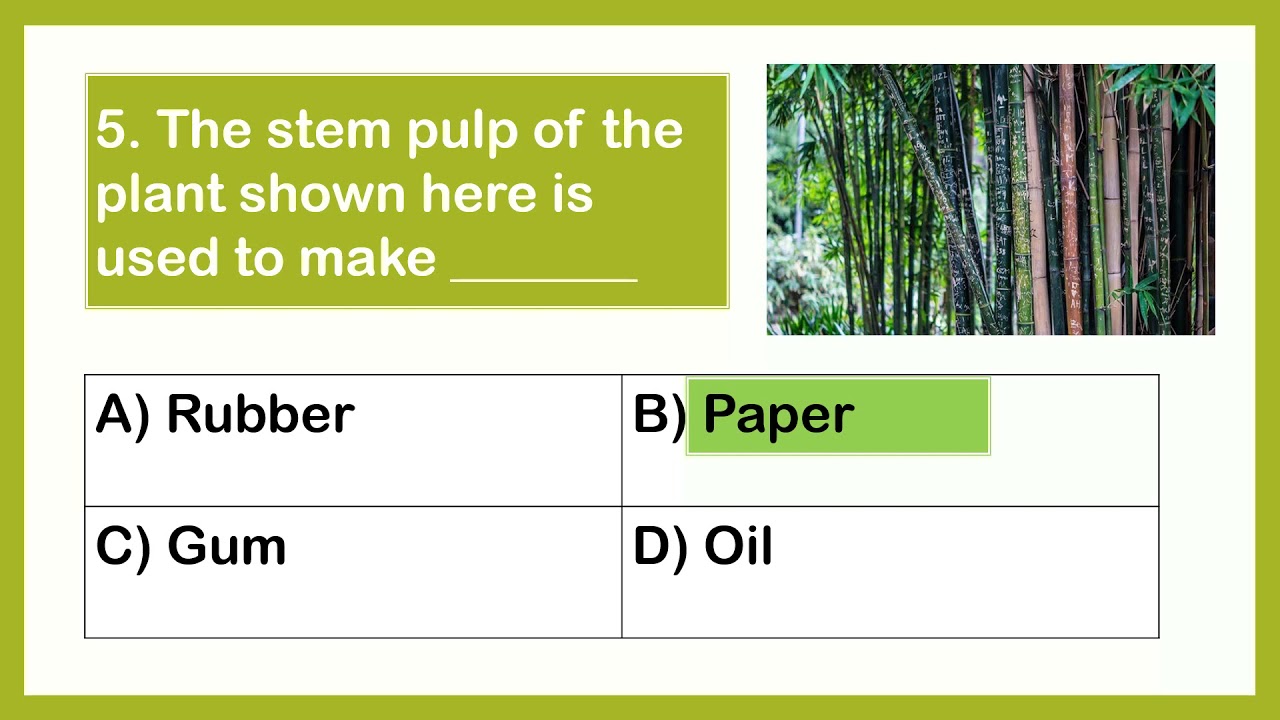 Science Olympiad grade2  - Plants