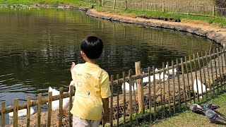 PULLMAN CIAWI VIMALA HILLS, JULI 2026