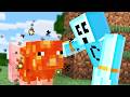 Minecraft But Everything I Touch Turns To Lava