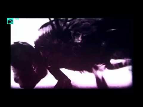 🎵 Housemaster Boyz and the Rude Boy of House – House Nation