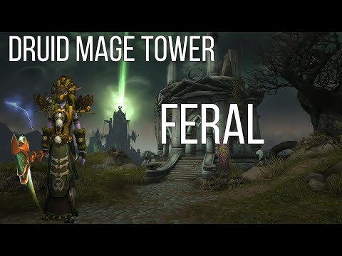 Feral Druid 9.1.5 Mage Tower (Legion Timewalking)