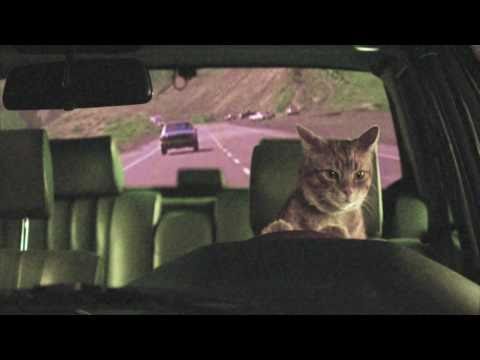 Holy Fuck – Red Lights