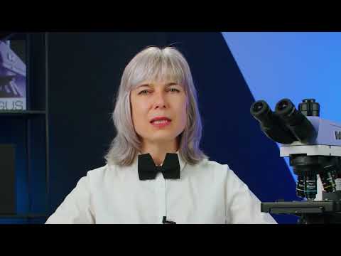 MAGUS. Настройка освещения по методу Кёлера – видеообзор