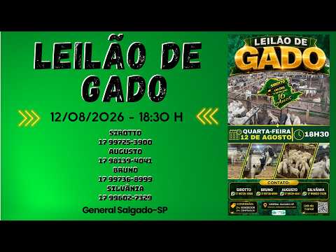 LEILÃO DE GADO  -  SIROTTO LEILÕES - GENERAL SALGADO - SP  - 12/08/2026