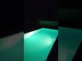 Bats Caught On Tape Above The Pool Shorts Batman Bat