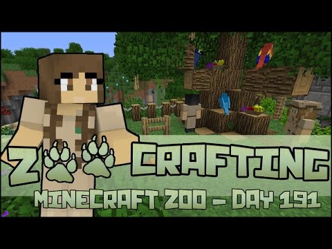 The New Bird Trainers!! 🐘 Zoo Crafting: Season 2 - Episode #191