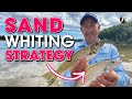 My Sand Whiting Strategy + WHOPPER By-Catch: Estuary Fishing 😲🐟🐟🐟