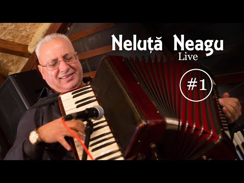 Neluta Neagu  - Muzica de ascultare - Live  - By ionut iagaru