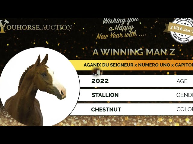 A Winning Man Z