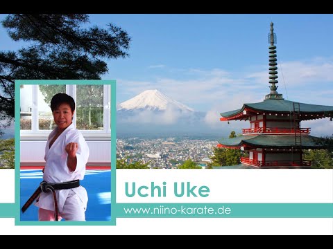 Kihon Basic 1: Uchi Uke!  Effektive Übungen um typische Fehler zu vermeiden!