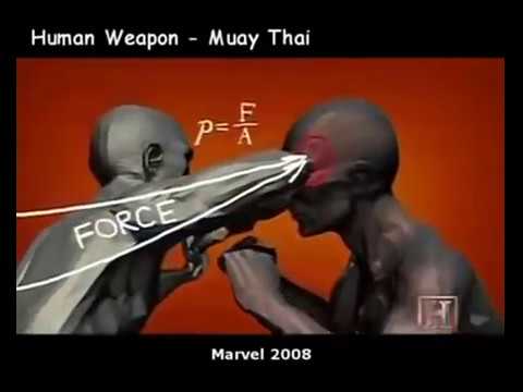 Human weapon All in One