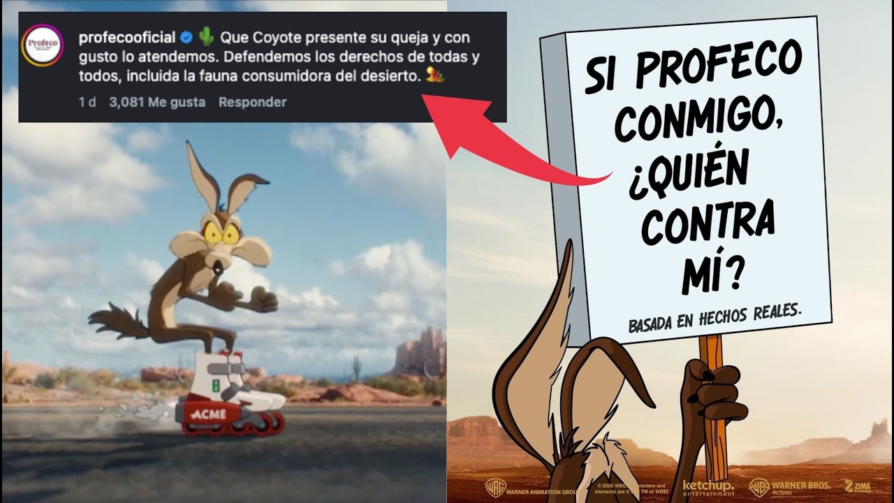 EL COYOTE METE QUEJA ante PROFECO por LO MALO que SON LOS PRODUCTOS ACME que NUNCA SIRVEN para...