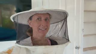 Keys Bees: Up Close and Personal | Florida Keys Travel Vlog | DestinatioNow S 7 Ep 188