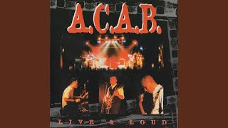 Download lagu We Are The Skins mp3