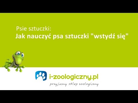 Jak nauczyć psa sztuczki wstydź się