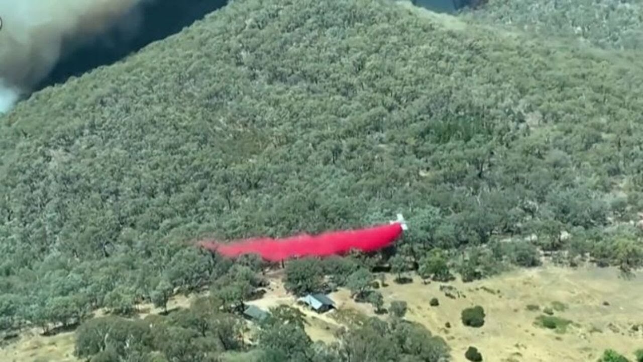 Incendi in Australia e Argentina, a fuoco migliaia di ettari di verde