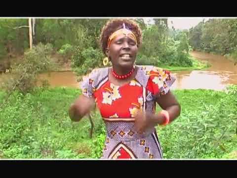 Kurget ne kayaat jeiso