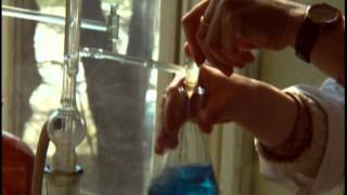 Science Fraud: Is the Tail Wagging the Dog?