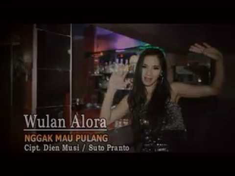 Wulan alora gak mau pulang