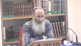 15265-5 האם יהודי וערבי יקבלו אור שונה?