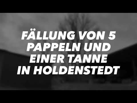 MDB LV 500 mit Ritter-Seilwinde - Fällung von 5 Pappeln und einer Tanne - B&B Baumfäll-Team Uelzen