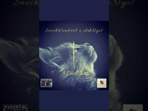 SneshNum6er9 X AdoNyol - 3 CoolCatz
