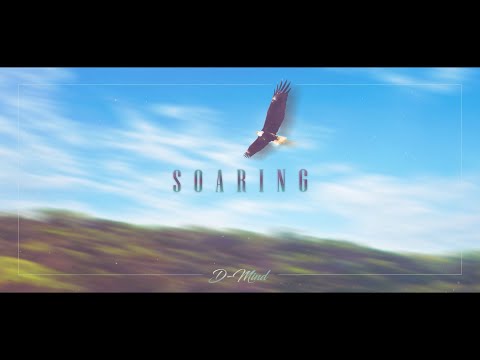 D-Mind - Soaring (Hardstyle) | Official Lyric Video