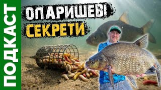 Опариш - основа рибалки! Скільки його треба? Як використовувати?