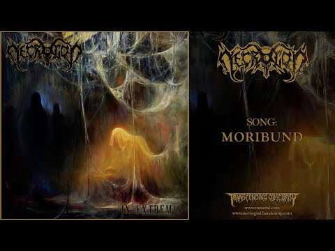 NECROGOD (International) - In The Reign Of Gore (Death Metal) #transcendingobscurity #deathmetal