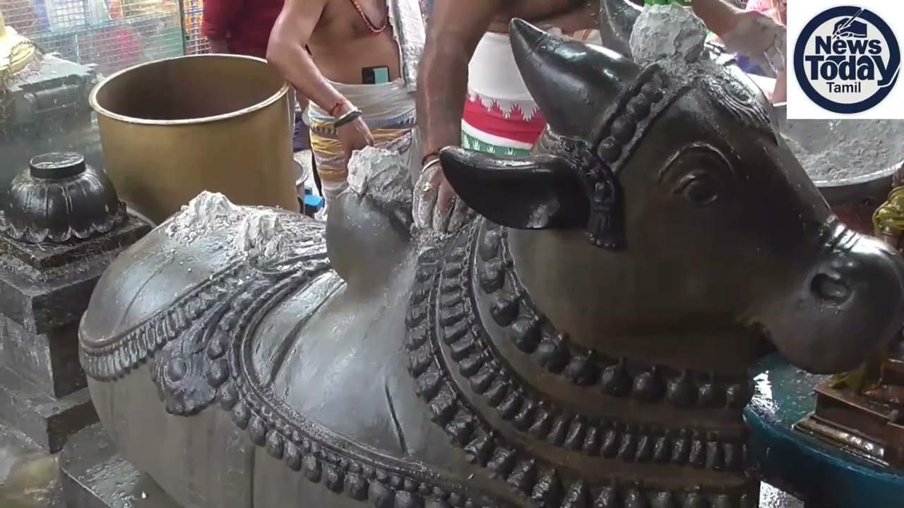 ஸ்ரீ ஜலகண்டீஸ்வரர் ஆலயத்தில் பிரதோஷத்தை முன்னிட்டு நந்திபகவானுக்கு சிறப்பு வழிபாடு. !