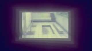 Reaction II Music Video