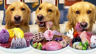 Golden Retriever’s immersive food-eating package to relieve stress!#asmr #eat broadcast #eatinsounds