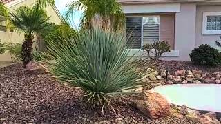 Planning Unique Desert Landscapes