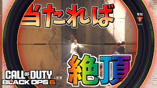 【CODBO6】使いこなせれば宇宙一気持ちいい武器なんよ