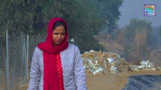 Success Story of Women Fish/Shrimp Farmer at District Bhiwani