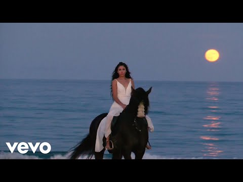 Shakira Martínez - AHORA