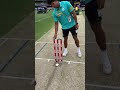 Ever Wondered How The Zinger Stumps Are Made Satisfying Stumps Bigbashleague