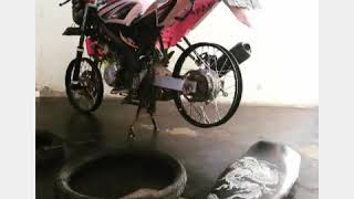 Download lagu Bisane mung nyawang story vijar mp3